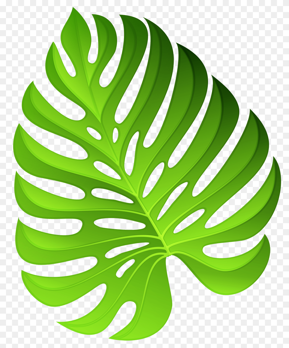 Bushes Clipart Aquarium Plant, Electronics, Computer, Laptop, Pc Png Image