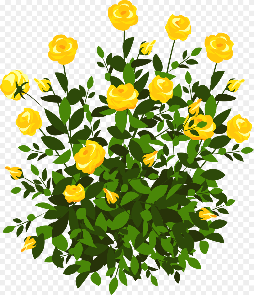Bushes Clipart Transparent Background, Plant, Flower, Petal, Rose Png