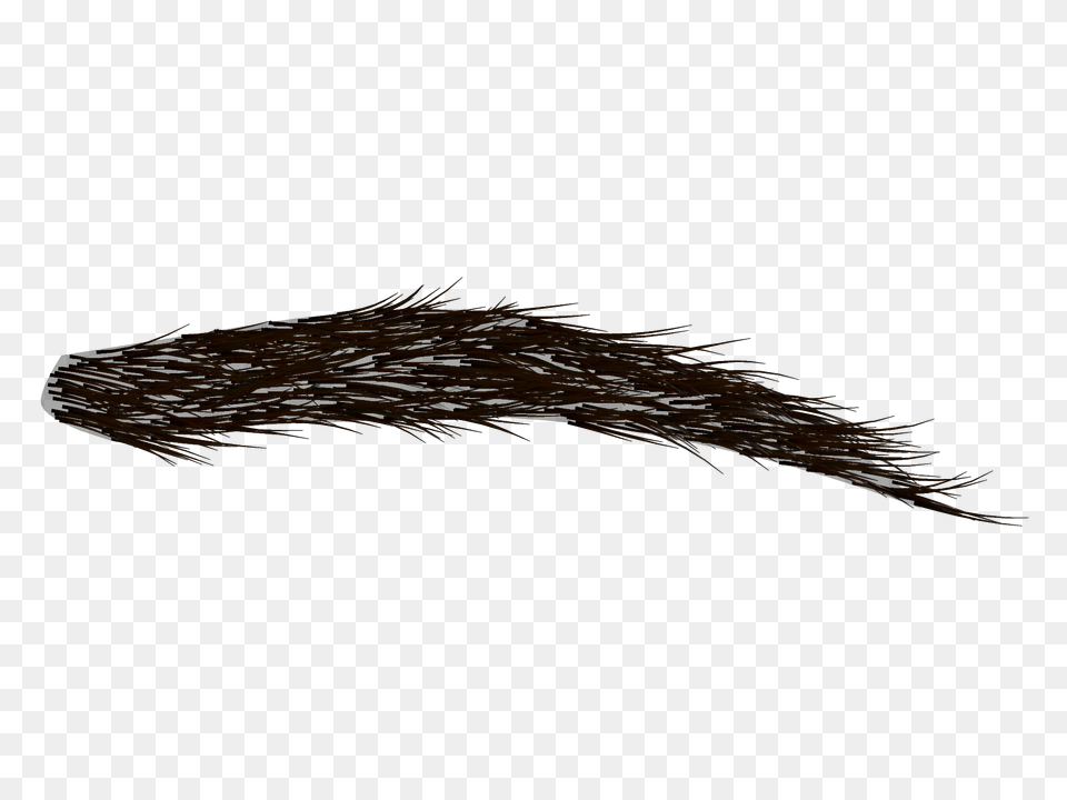 Bushy Eyebrow, Head, Person, Face, Mustache Png