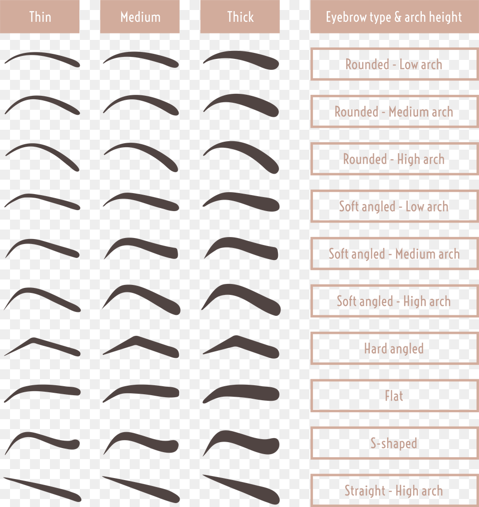 Bushy Eyebrows, Page, Text, Home Decor, Face Free Transparent Png