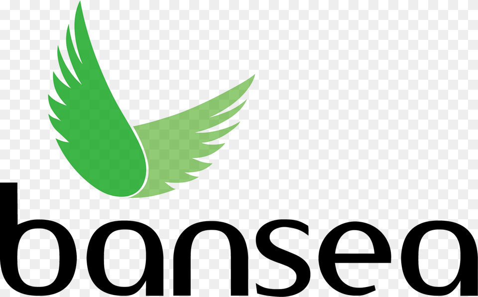 Business Angel Network Of Southeast Asia Color, Aloe, Plant, Herbal, Herbs Png Image