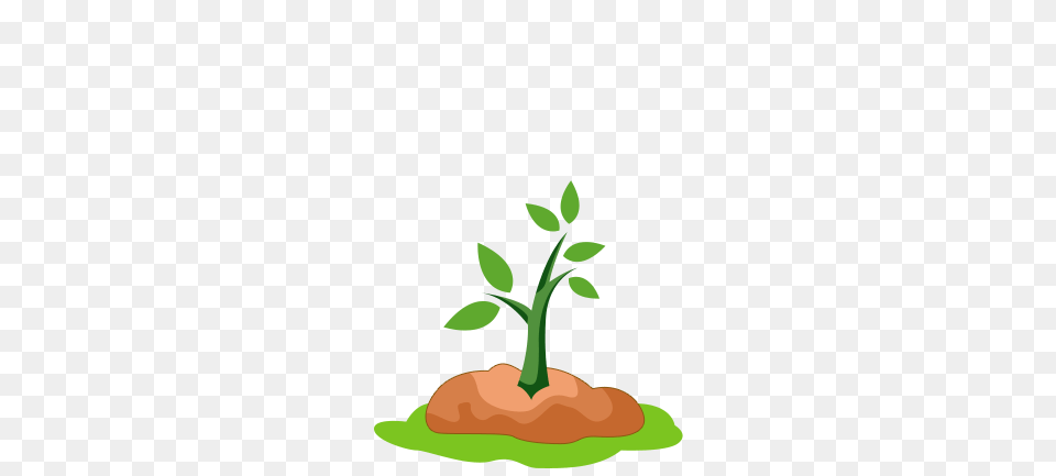 Business Growth Plans Website Designers, Leaf, Plant, Food, Food Presentation Free Transparent Png