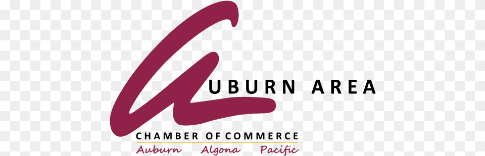 Business Insider Logo Auburn, Text Free Png