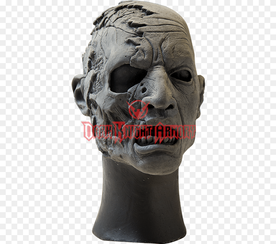 Bust, Adult, Male, Man, Person Png