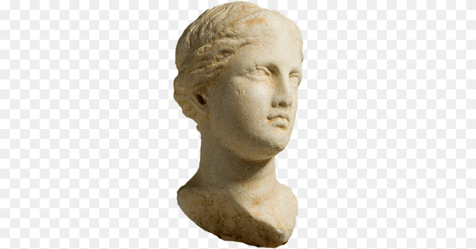 Bust, Art, Head, Person, Adult Free Png Download
