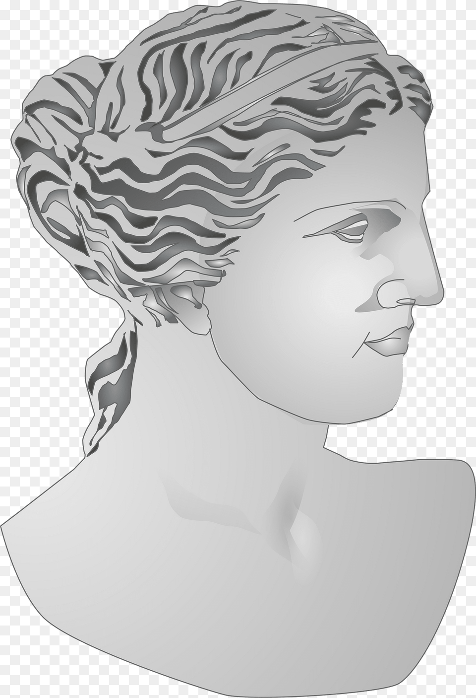 Bust Clipart, Art, Portrait, Photography, Face Free Png Download