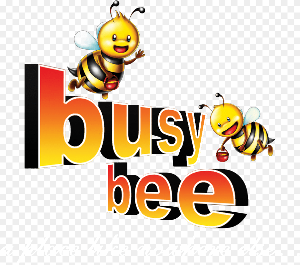Busy Bee Cafe, Animal, Honey Bee, Insect, Invertebrate Png
