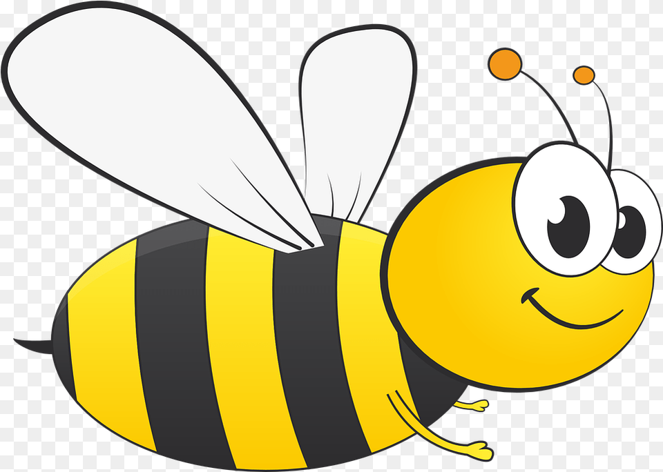 Busy Clip Art Honey Bee, Animal, Honey Bee, Insect, Invertebrate Free Png Download