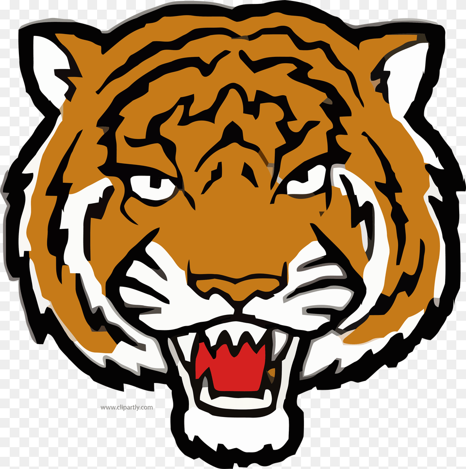 But Angry Tiger Face Clipart Image, Baby, Person, Animal, Mammal Free Png Download