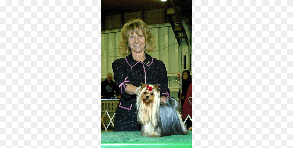 But He Did Leave Behind Our Beautiful Anah And Penny Yorkshire Terrier, Adult, Person, Woman, Female Png Image