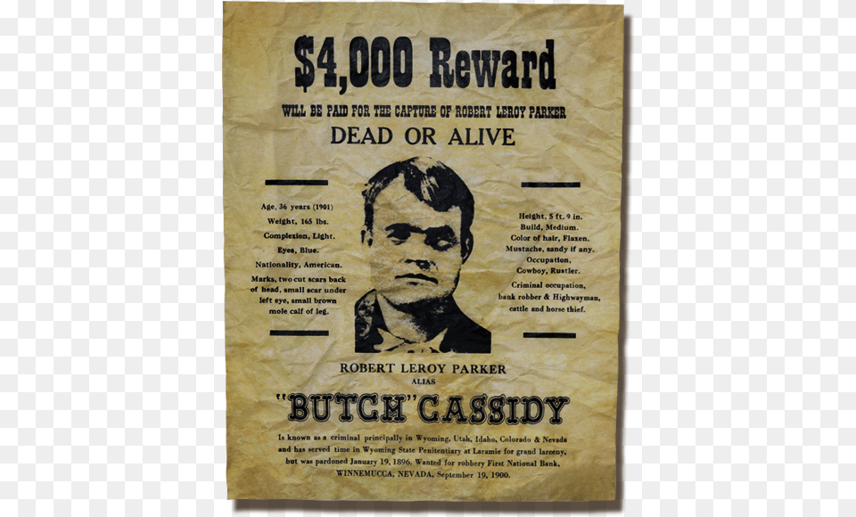 Butch Cassidy Wanted Poster, Advertisement, Adult, Male, Man Free Transparent Png