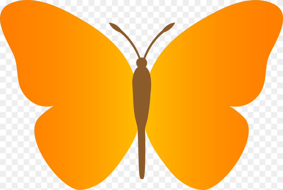 Buterfly Clipart, Animal, Butterfly, Insect, Invertebrate Free Transparent Png