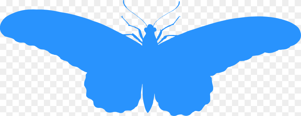 Buttefly Silhouette, Animal, Butterfly, Insect, Invertebrate Free Transparent Png
