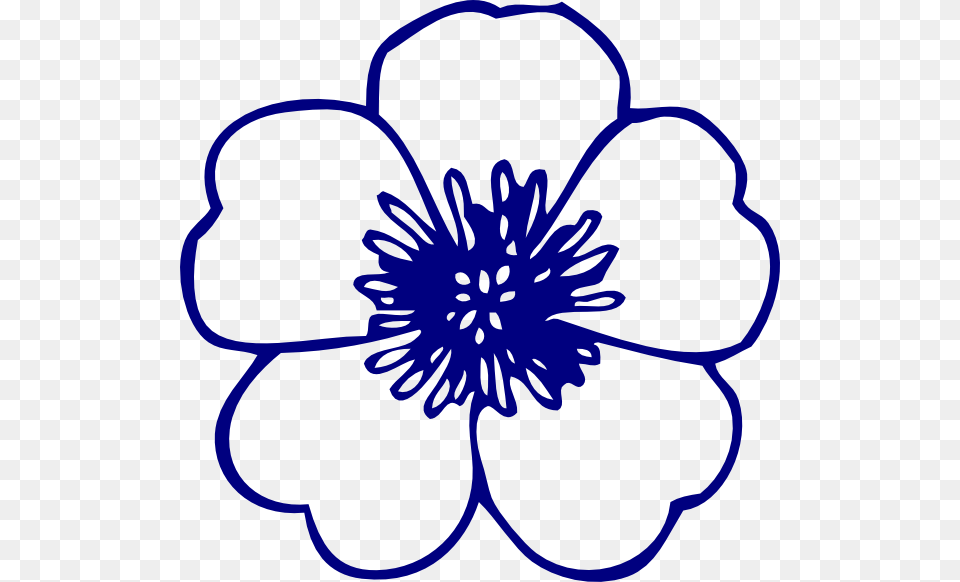 Buttercup Flower Coloring Pages, Anemone, Anther, Plant, Dahlia Png