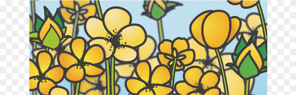 Buttercup Flower Field Yellow Floral Arrangement White Stained Glass, Art, Modern Art, Dynamite, Weapon Png Image