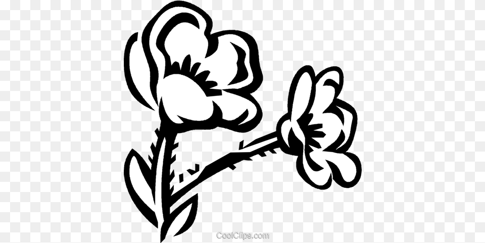 Buttercup Royalty Vector Clip Art Buttercup Flower Clipart, Plant, Stencil, Floral Design, Graphics Free Png