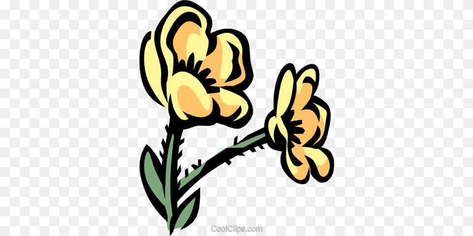 Buttercup Royalty Vector Clip Art Illustration, Floral Design, Flower, Graphics, Pattern Png Image