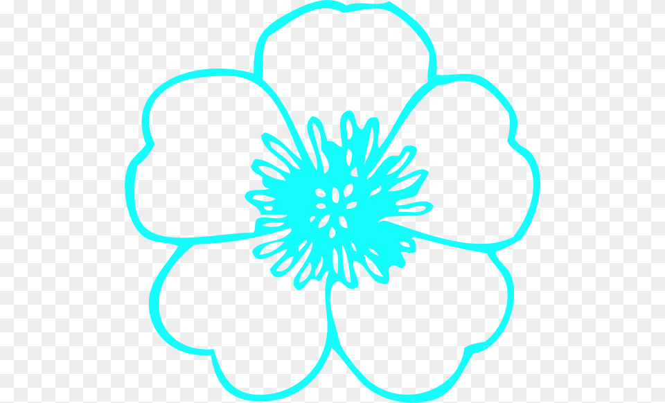 Buttercup Teal, Anemone, Anther, Dahlia, Daisy Free Png
