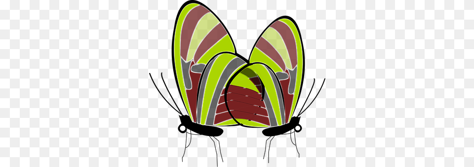 Butterflies Clothing, Flip-flop, Footwear, Nature Png Image