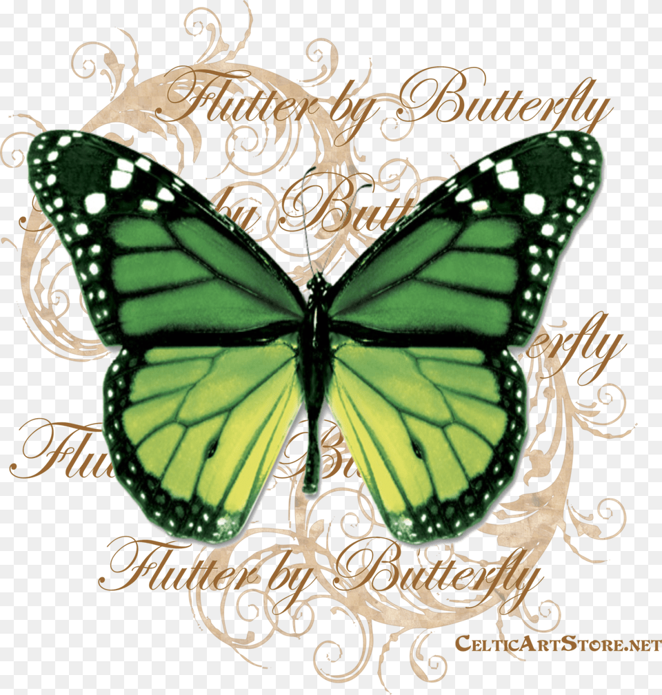 Butterflies Amp Dragonflies Tagged Quotbutterfly Rainbow Butterfly Real Life, Animal, Insect, Invertebrate, Monarch Free Png Download