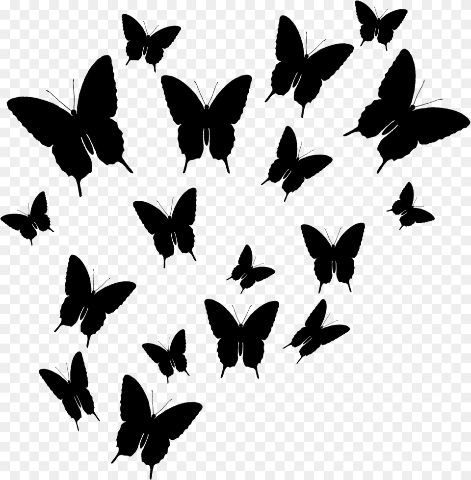 Butterflies Black Silhouette Shadow, Art, Blackboard, Stencil, Pattern Free Png