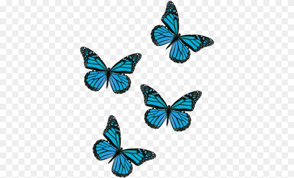 Butterflies Butterfliesstickerremix Butterfly Aesthetic Flying Pink Butterfly, Animal, Insect, Invertebrate Free Transparent Png