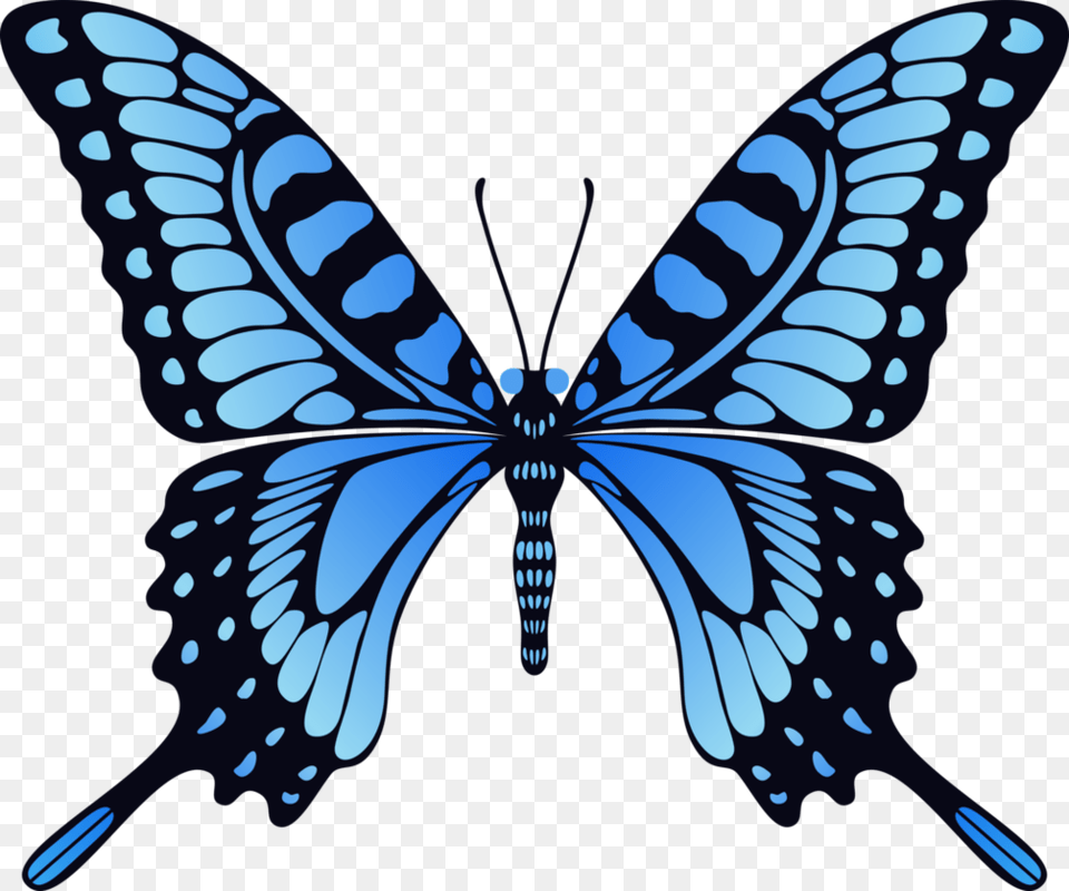 Butterflies Butterfly Blue, Animal, Insect, Invertebrate, Accessories Free Png