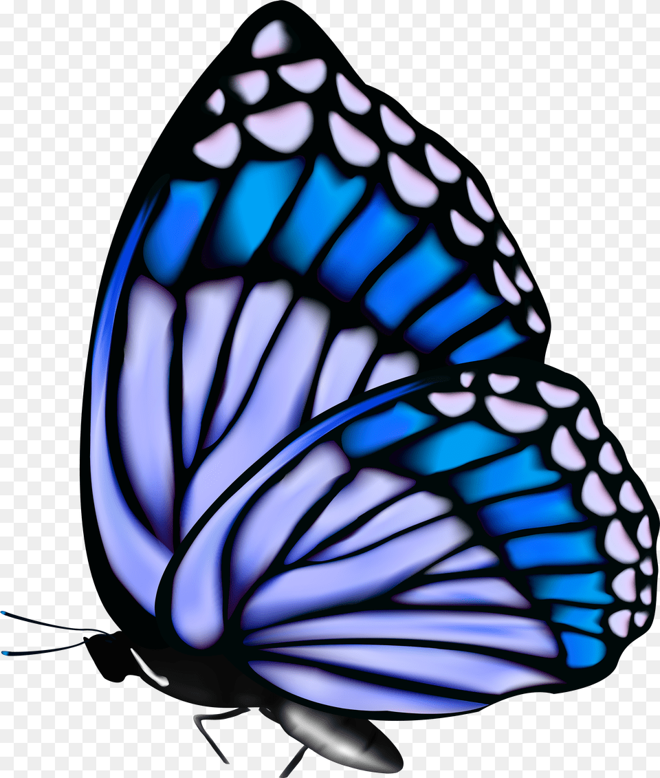 Butterflies Butterfly Blue Butterfly Gif Free Png