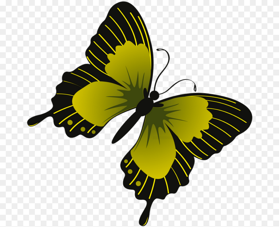 Butterflies Butterfly Clip Art Butterflies Butterfly, Flower, Petal, Plant, Daffodil Png Image