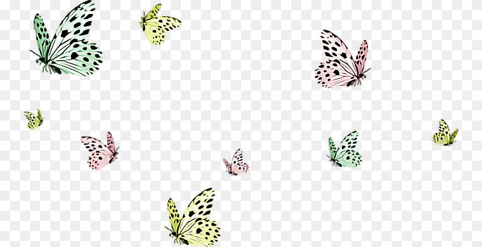 Butterflies Butterfly Flying Butterflysticker Dailysticker Transparent Background Butterflies, Animal, Bird, Pattern, Insect Free Png