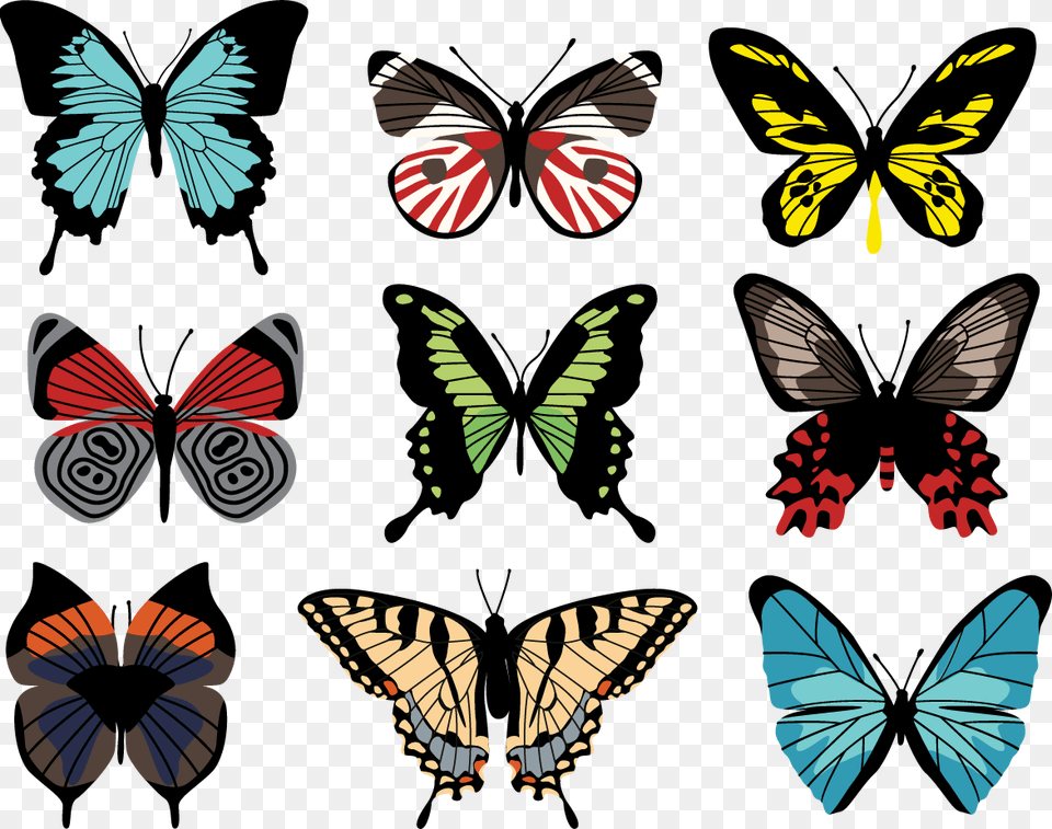 Butterflies Butterfly Vectors, Art, Graphics, Animal, Invertebrate Free Png Download