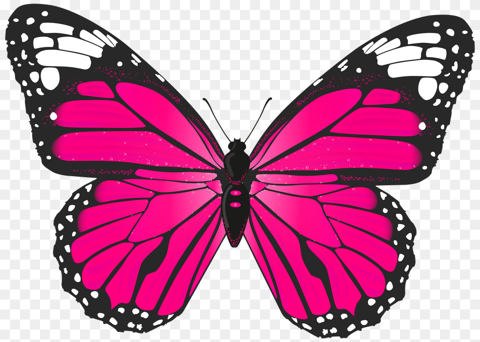 Butterflies Clipart 2 Image Pink Butterfly Transparent Free Png