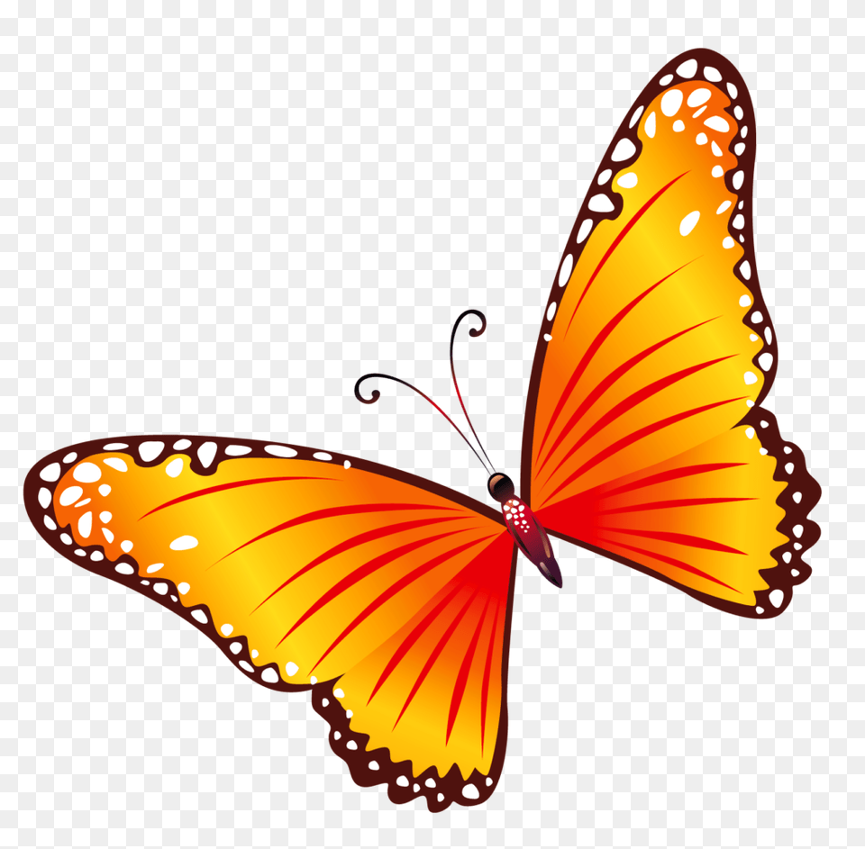 Butterflies Clipart Image Gallery Dirdoo Butterfly, Animal, Insect, Invertebrate, Monarch Free Transparent Png
