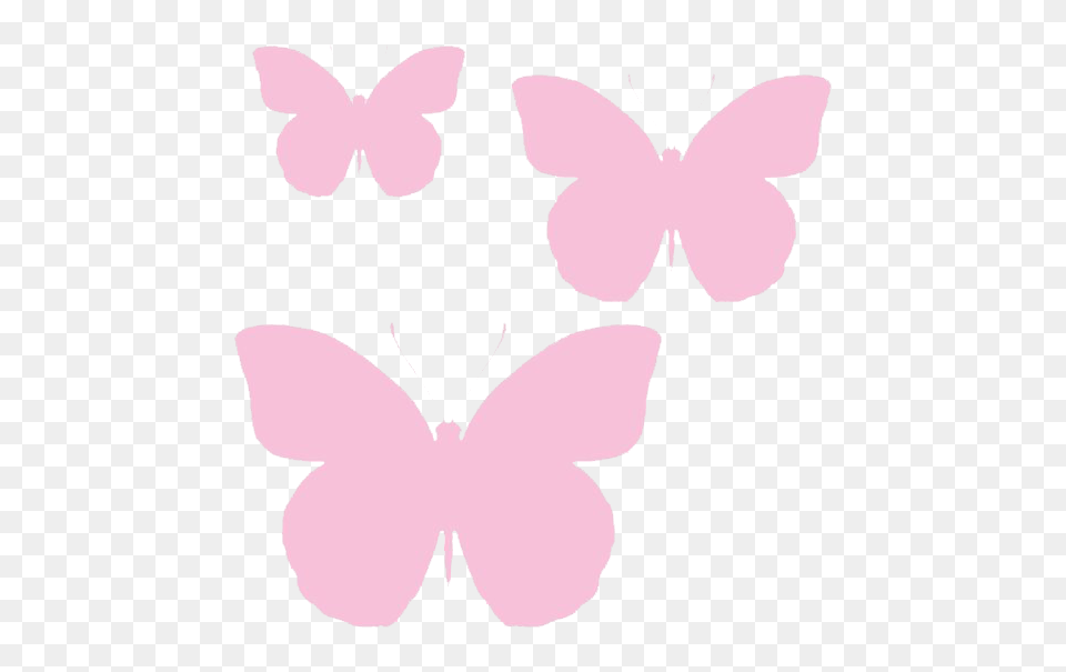 Butterflies Coloured Light Pink Butterfly Full Pink Butterfly Transparent, Flower, Petal, Plant Free Png