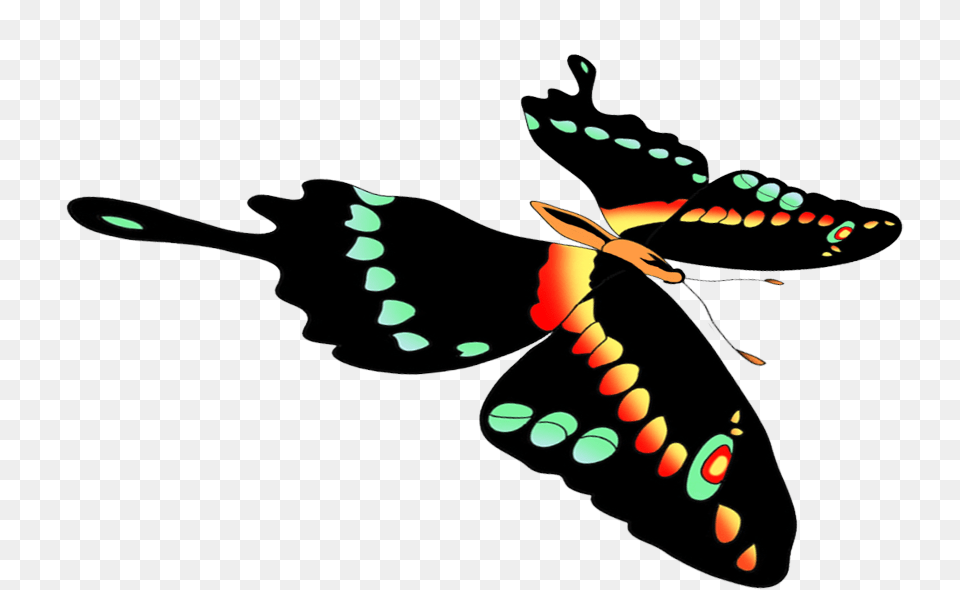 Butterflies Drawing Black Swallowtail, Art, Animal Png Image