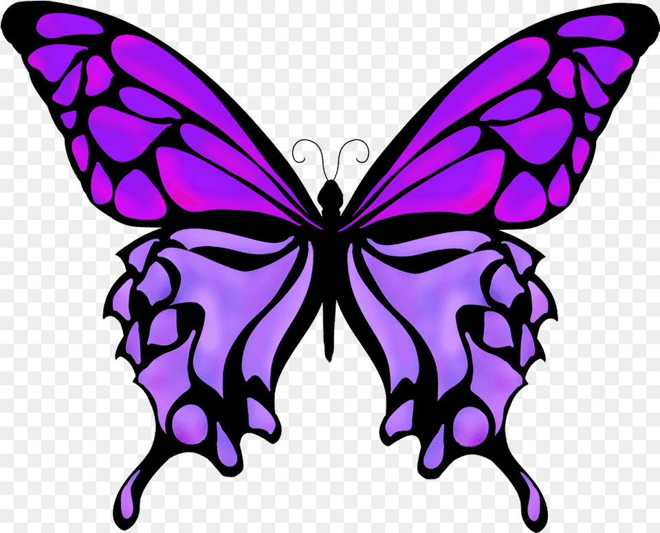 Butterflies Drawing Color Silhouette Butterfly Vector, Purple, Art, Graphics, Person Free Png Download