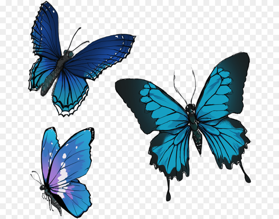 Butterflies Drawing Group Painting Of Group Butterflies, Animal, Butterfly, Insect, Invertebrate Free Transparent Png