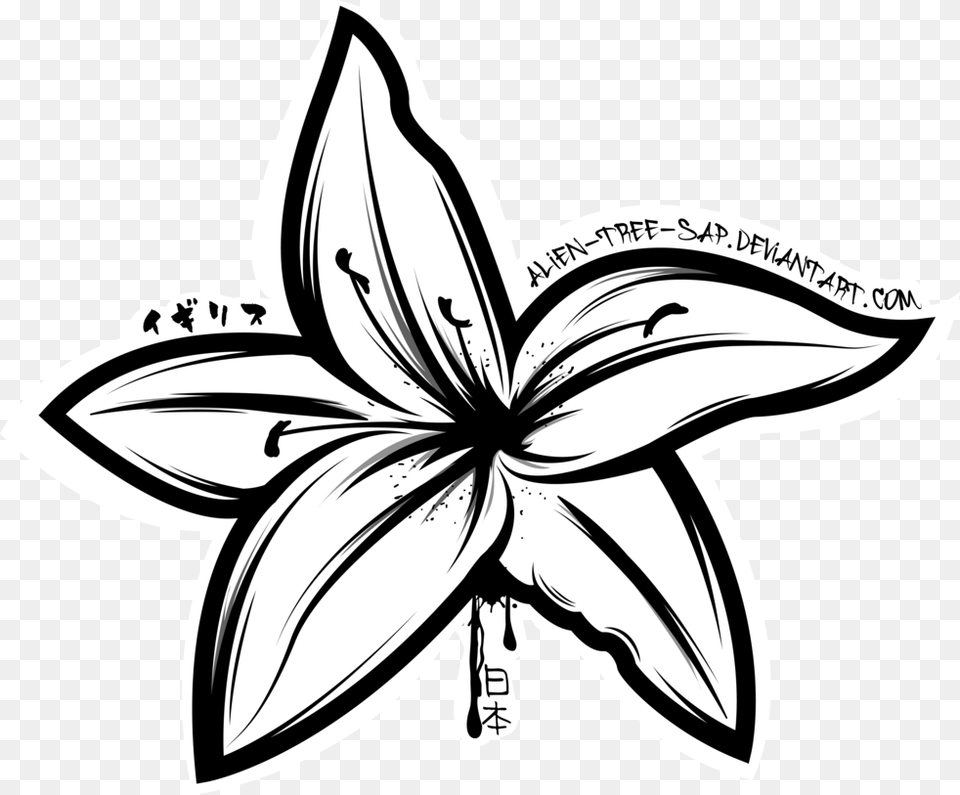 Butterflies Drawing Lily Lily Outline, Flower, Plant Png