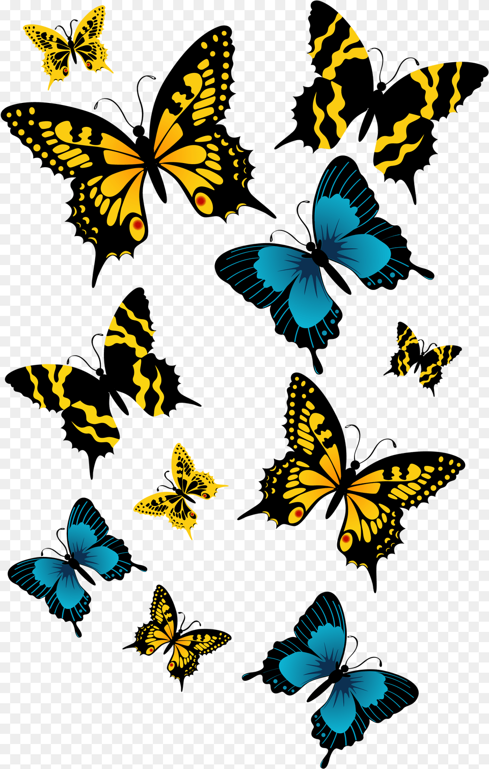 Butterflies High Quality Image Beautiful Hd Butterfly, Animal, Insect, Invertebrate, Monarch Png