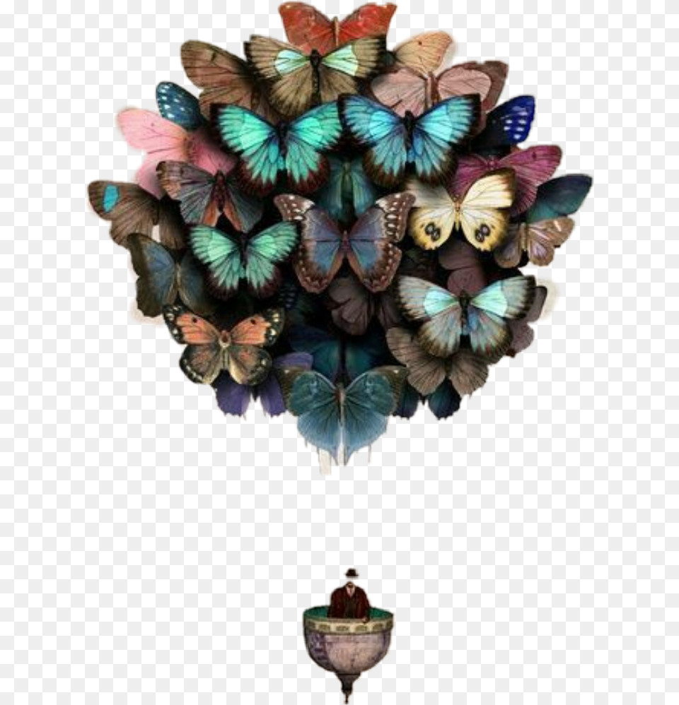 Butterflies Hotairballoon Freetoedit Butterfly Balloons Art, Plant, Accessories Free Png Download