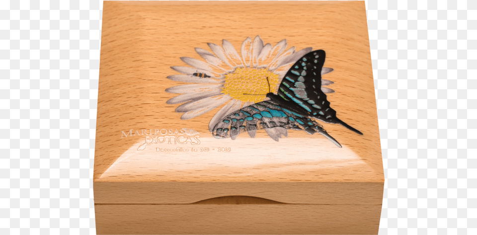 Butterflies In 3d 2015 Cit Coin Invest Trust Ag Plywood, Wood, Drawer, Furniture, Box Png Image