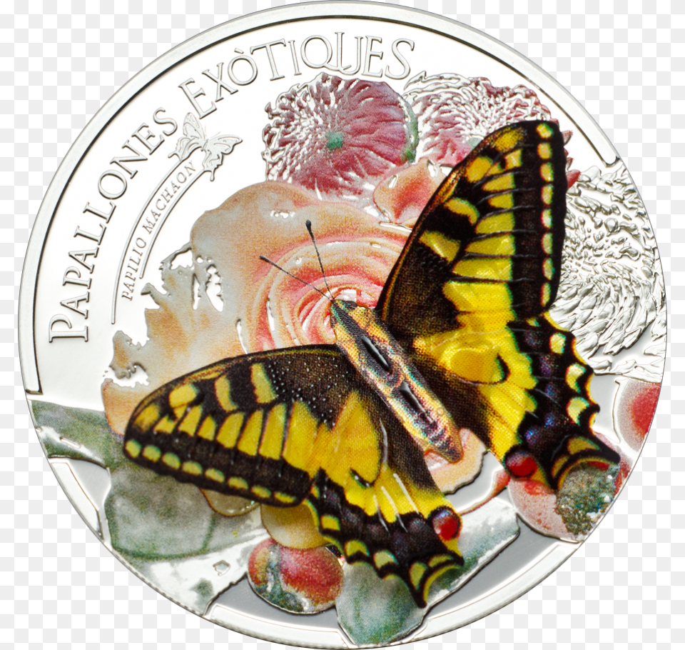 Butterflies In 3d Swallowtail Papilio Machaon Proof, Plate, Coin, Money Png Image