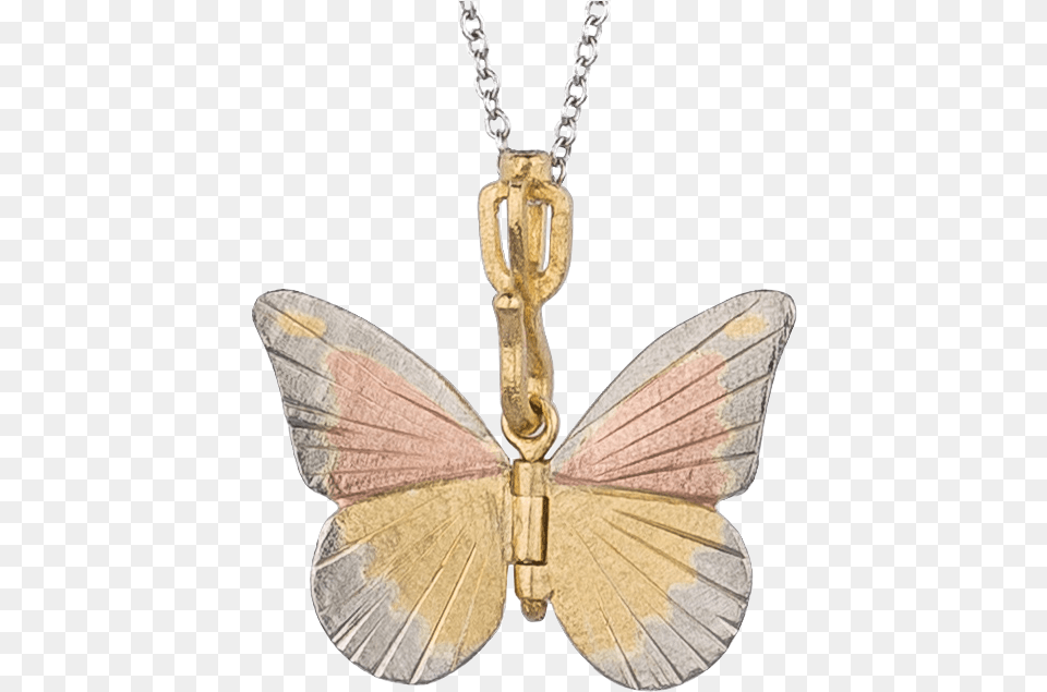 Butterflies Locket, Accessories, Jewelry, Necklace, Pendant Free Transparent Png
