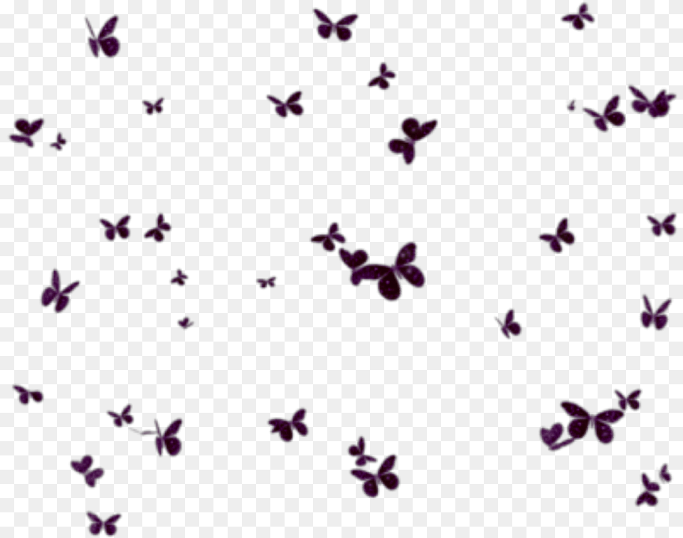 Butterflies Mariposas Mariposa Butterfly Group Fundo De Borboletas Em, Flower, Petal, Plant, Purple Free Transparent Png