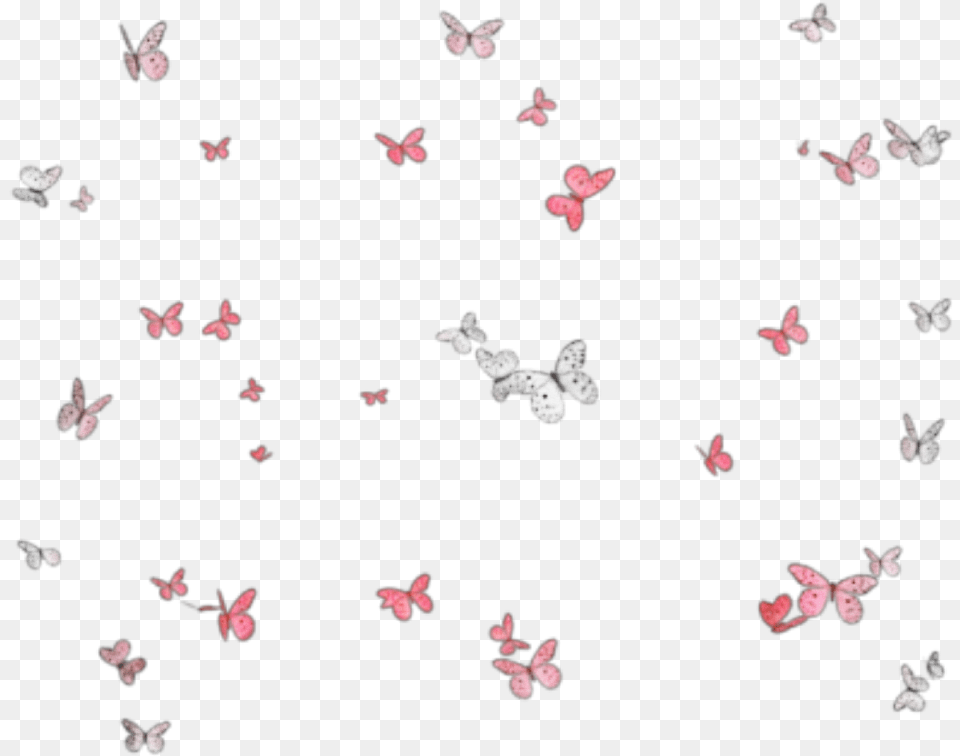 Butterflies Mariposas Mariposa Butterfly Group Love Unicorn, Flower, Petal, Plant, Paper Free Png Download