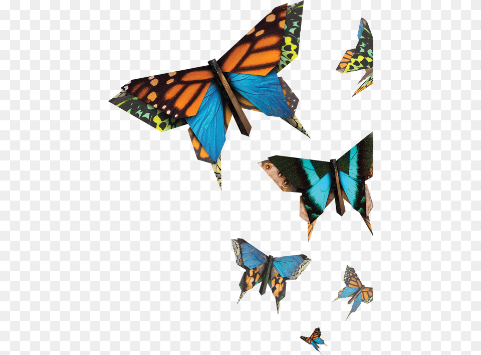 Butterflies Natural New Butterflies, Art, Collage, Animal, Butterfly Free Png Download