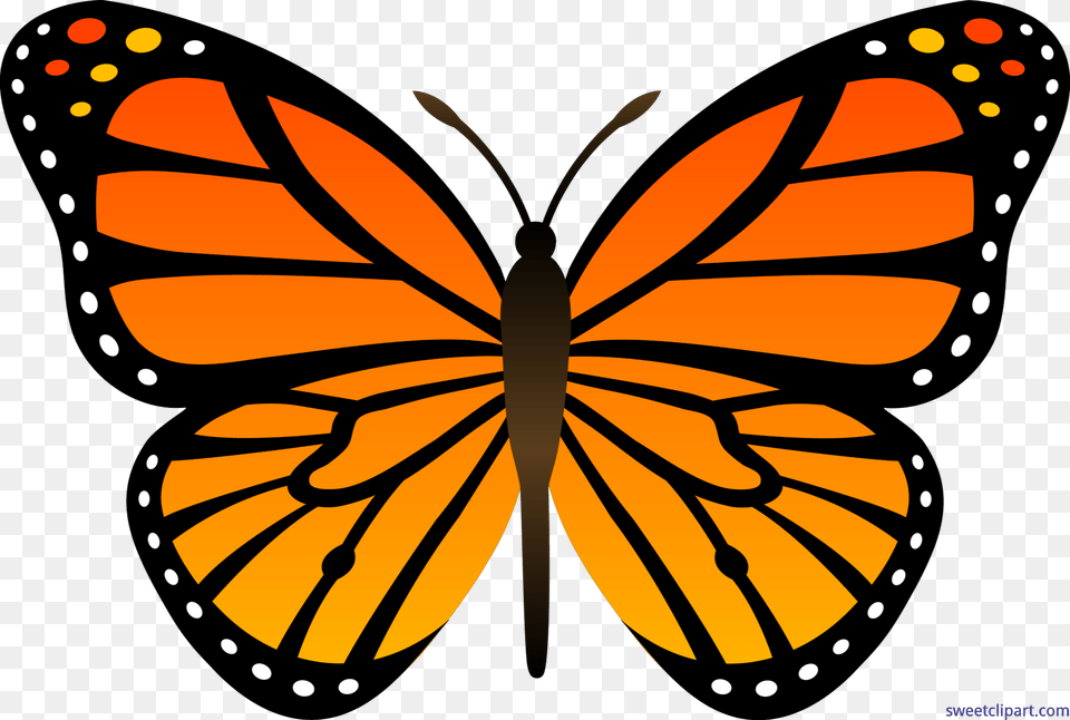 Butterflies Orang Butterfly Clip Art Clipartlook Easy Monarch Butterfly Drawing, Animal, Insect, Invertebrate Free Png