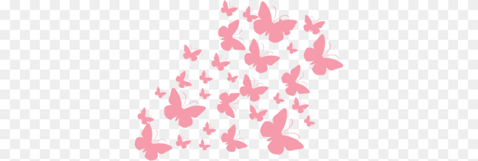 Butterflies Pink Butterfly Ftestickers Batom Sophie Boticario, Flower, Petal, Plant, Hibiscus Free Transparent Png