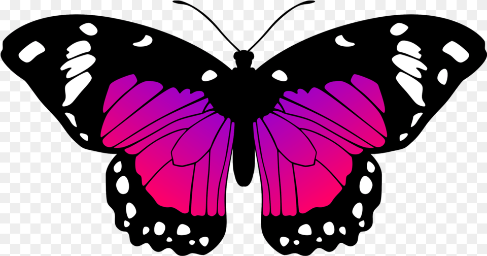 Butterflies Pink Purple Butterfly Black And White Clipart, Animal, Insect, Invertebrate, Person Free Transparent Png