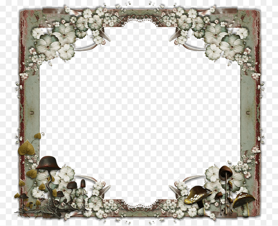 Butterflies Roses Frame, Photography, Mirror Free Transparent Png